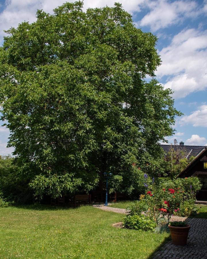 Ferienhaus Ostrauer Hof Bad Schandau Dış mekan fotoğraf